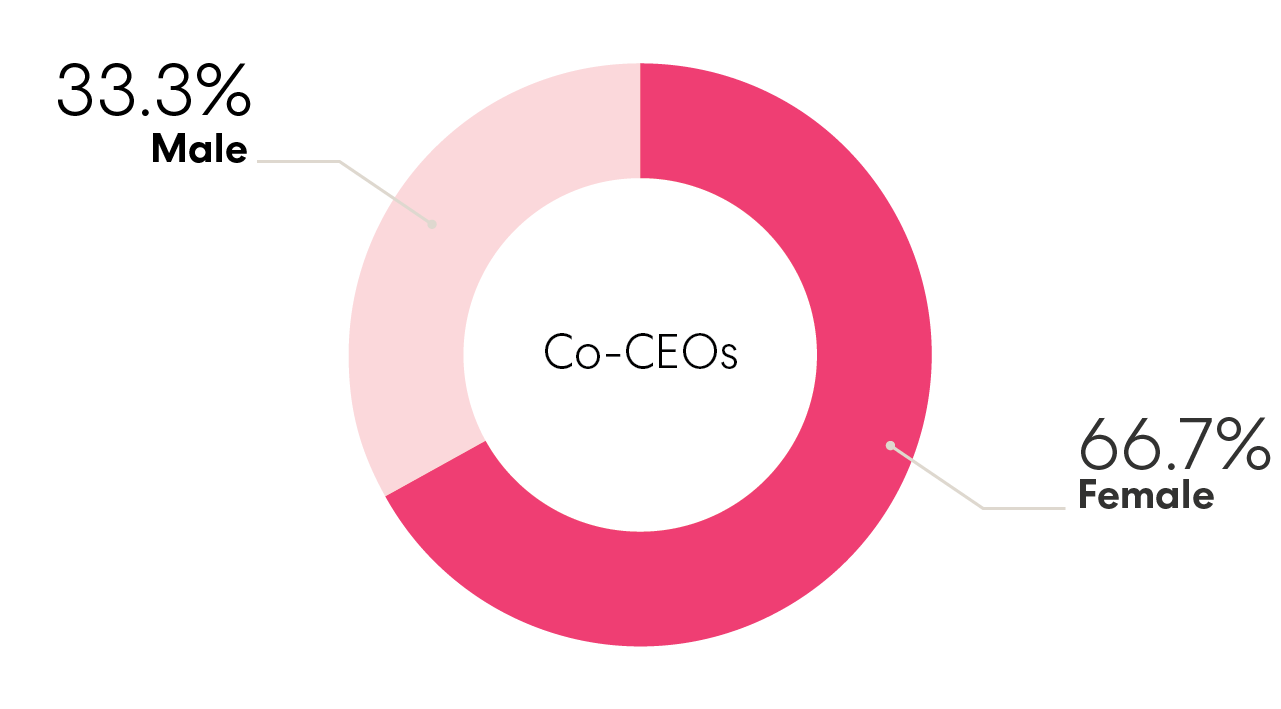 A pink pie chart showing the male/female split of Sharesies' three CEOs, 33.3% identify as male and 66.7% identify as female. 