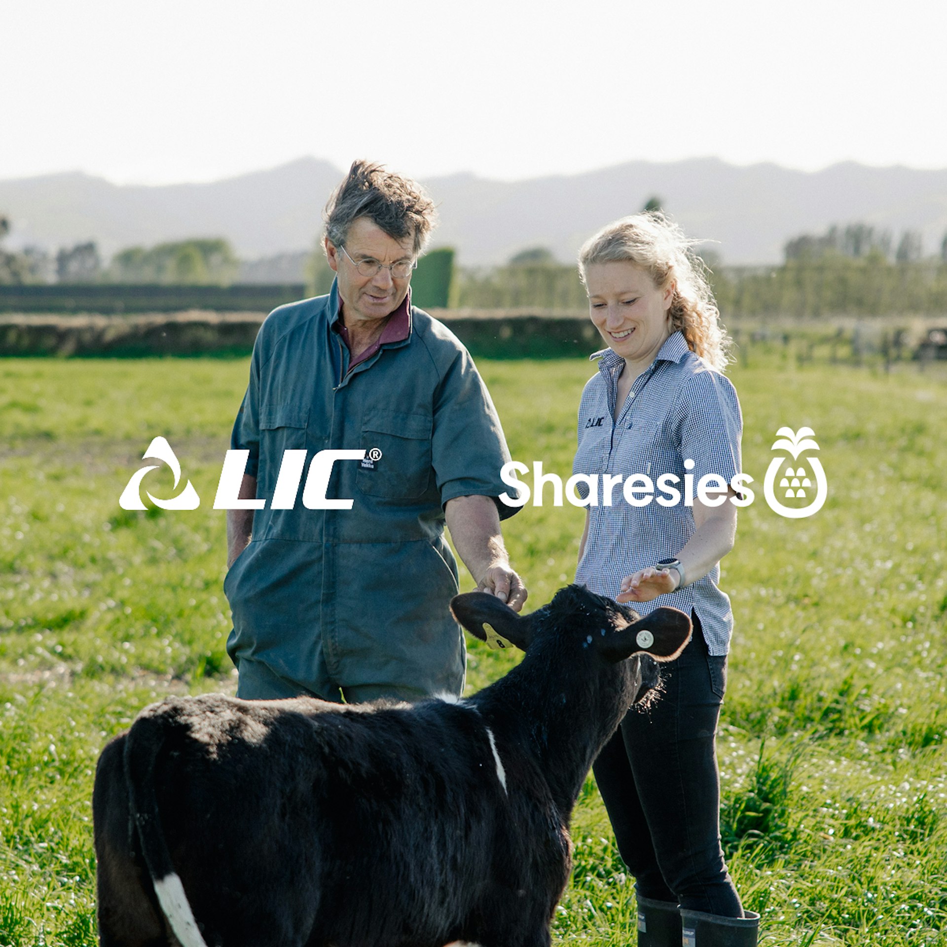 LIC & Sharesies have partnered up to streamline share trading for LIC co-operative members